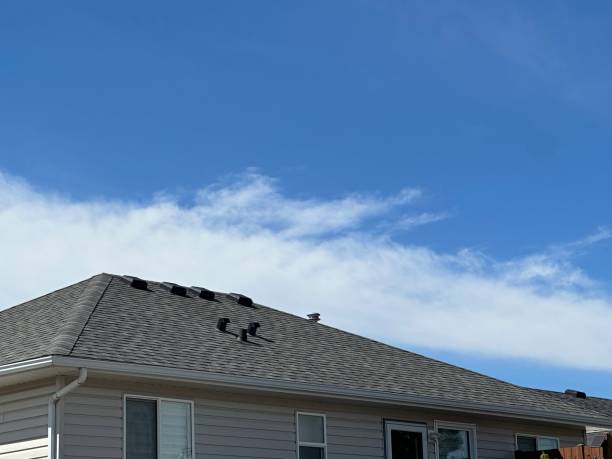 Best Roof Moss and Algae Removal  in Lakeland North, WA